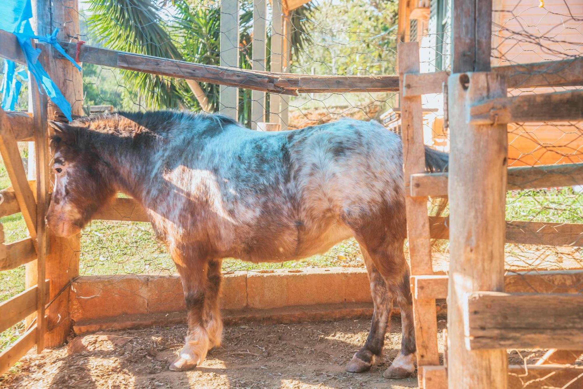 Hotel Fazenda Reviver Aracoiaba da Serra Luaran gambar